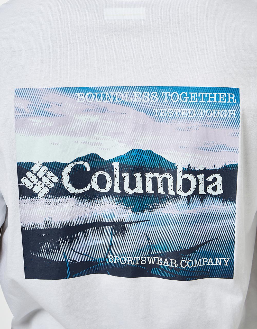 Columbia Rapid Ridge Back Graphic II T-Shirt - White Natures Palette