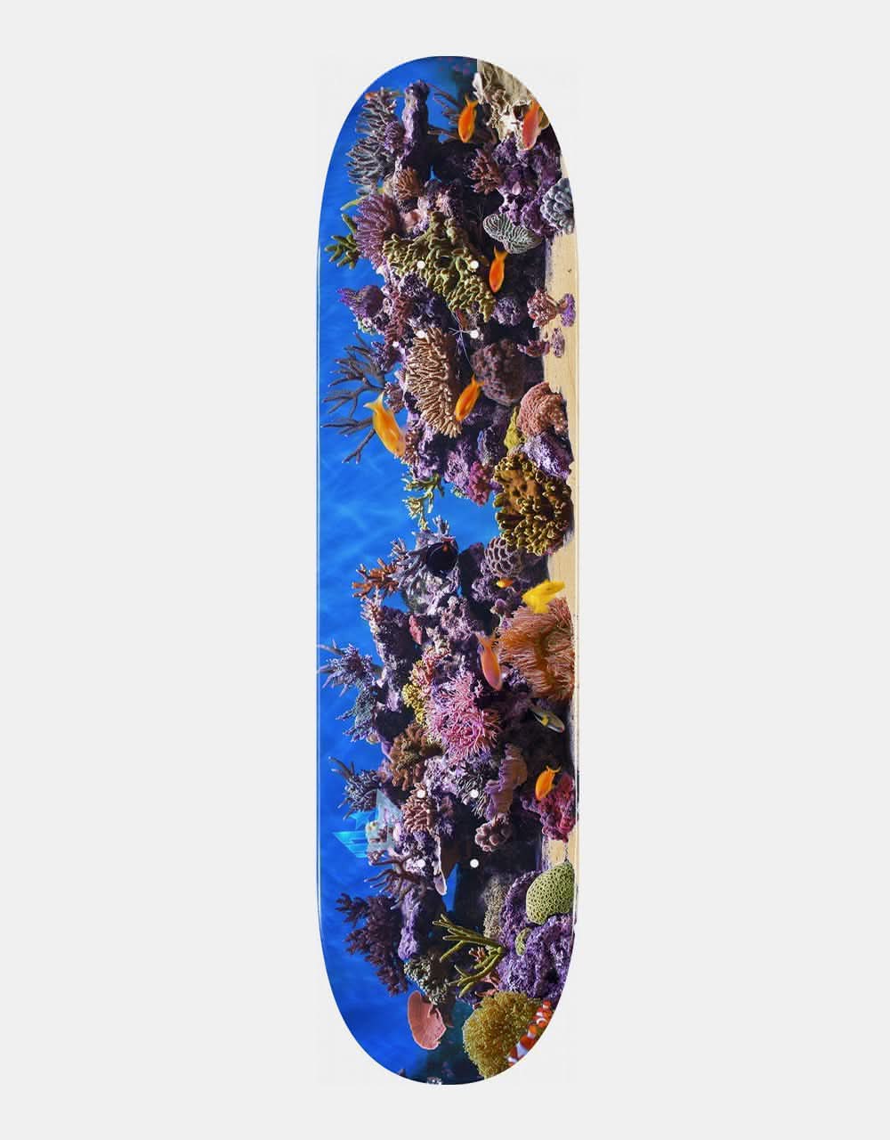 Mini Logo Fish Tank '18' 242 Skateboard Deck - 8"