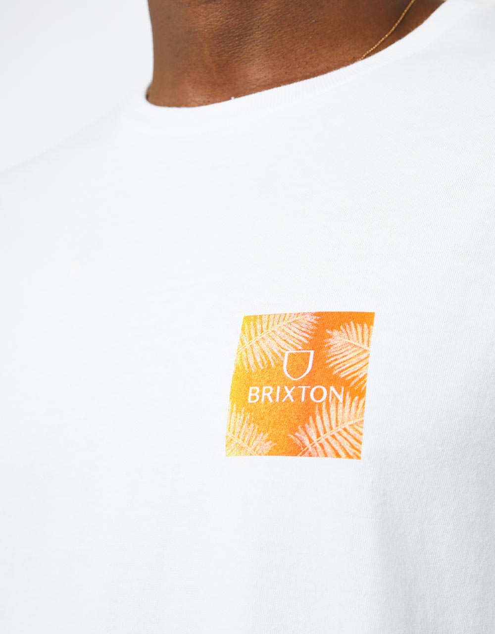 Brixton Alpha Square T-Shirt - White/Palm Gradient