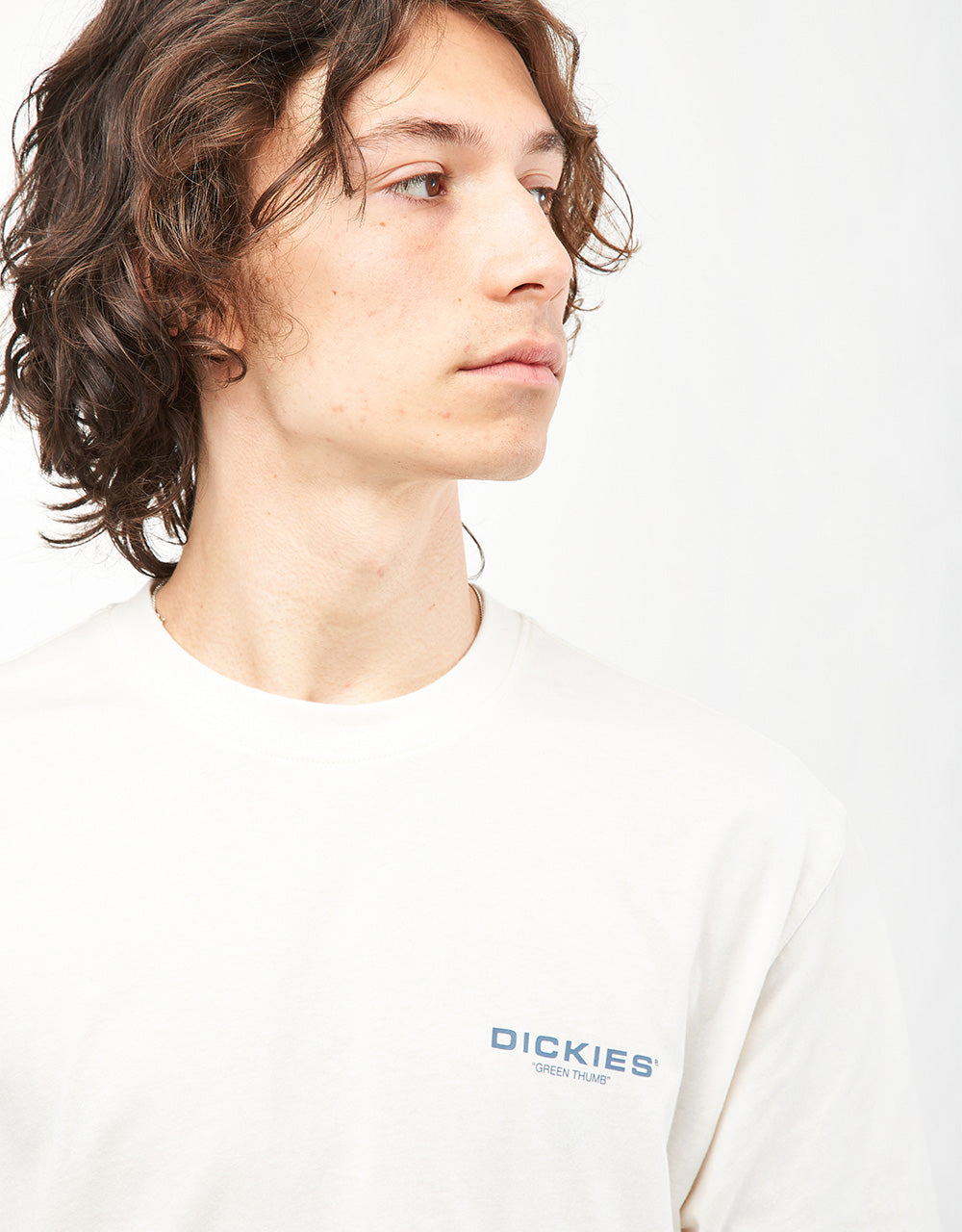 Dickies Wakefield T-Shirt - Cloud