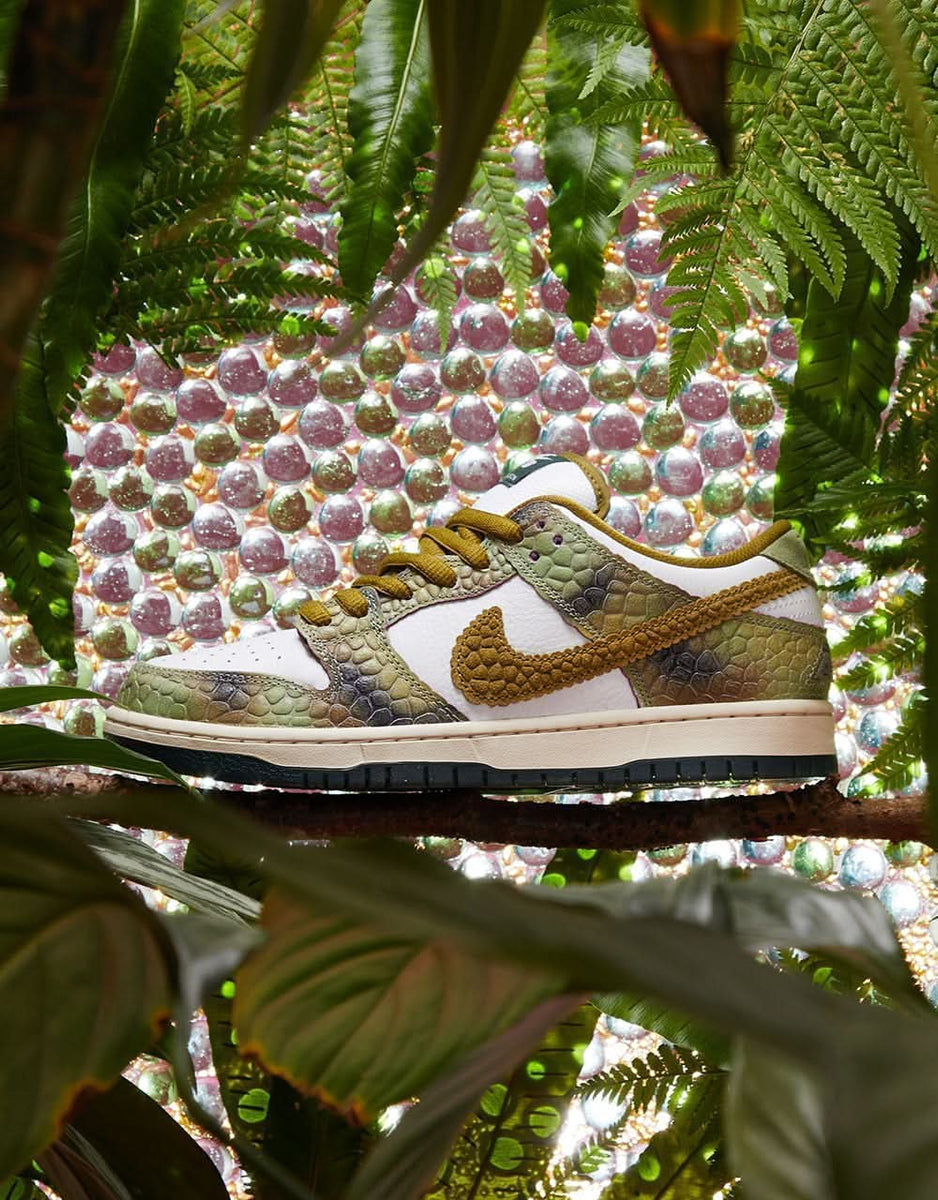 Nike SB 'Alexis Chameleon' Dunk Low Pro QS Skate Shoes Oil
