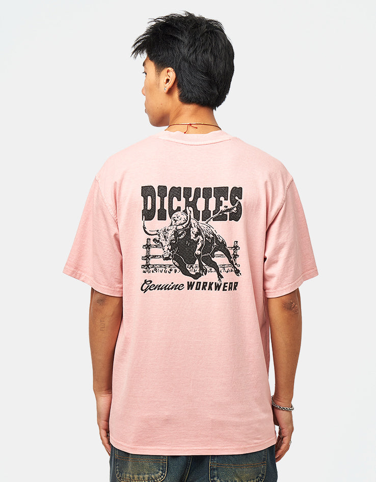 Dickies Buchtell T-Shirt - Bridal Rose – Route One