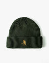 Pass Port Workers 2-Tone Stripe Beanie - Green
