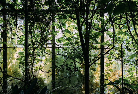 Route One O.B. Sustainable Steps...