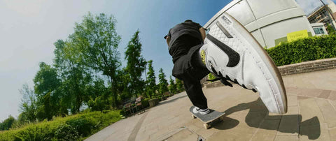 Nike SB Paul Rodriguez Zoom Air Low QS