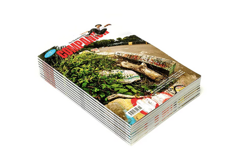 The Skateboarder's Companion