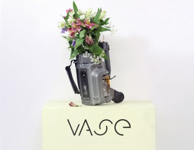 Isle Vase DVD