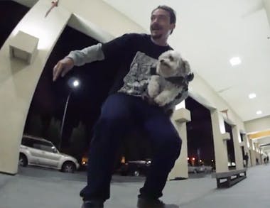 Panda Patrol: Blue Turner