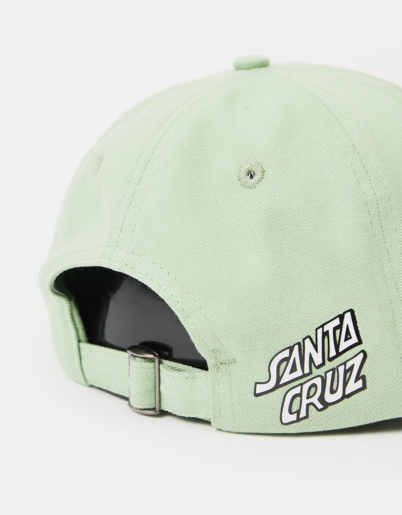 Santa Cruz Wildflower Cap - Pastel Green