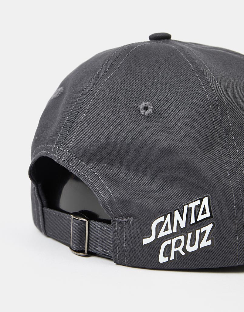 Santa Cruz Wildflower Cap - Black