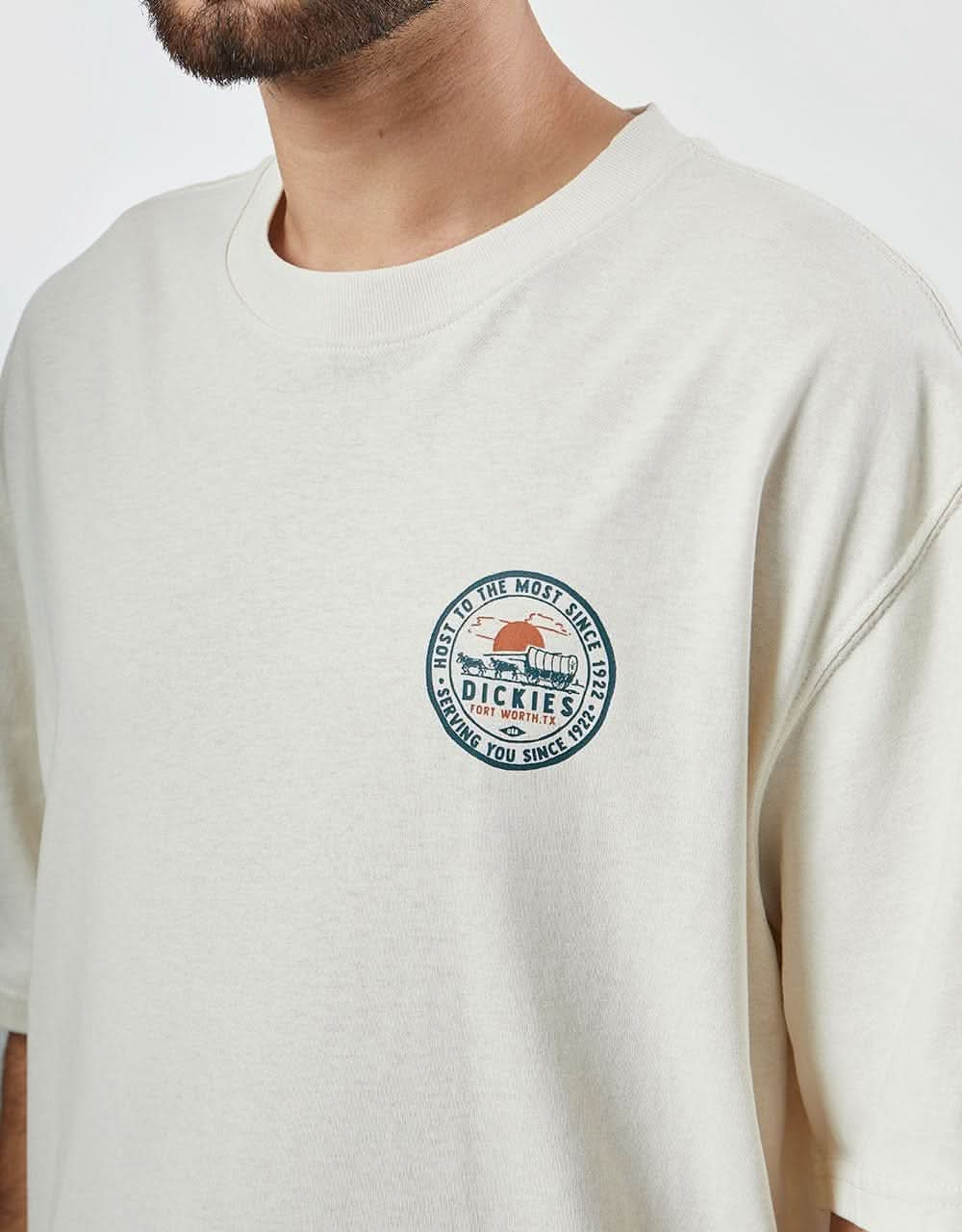 Dickies Greensburg T-Shirt - Whitecap Gray