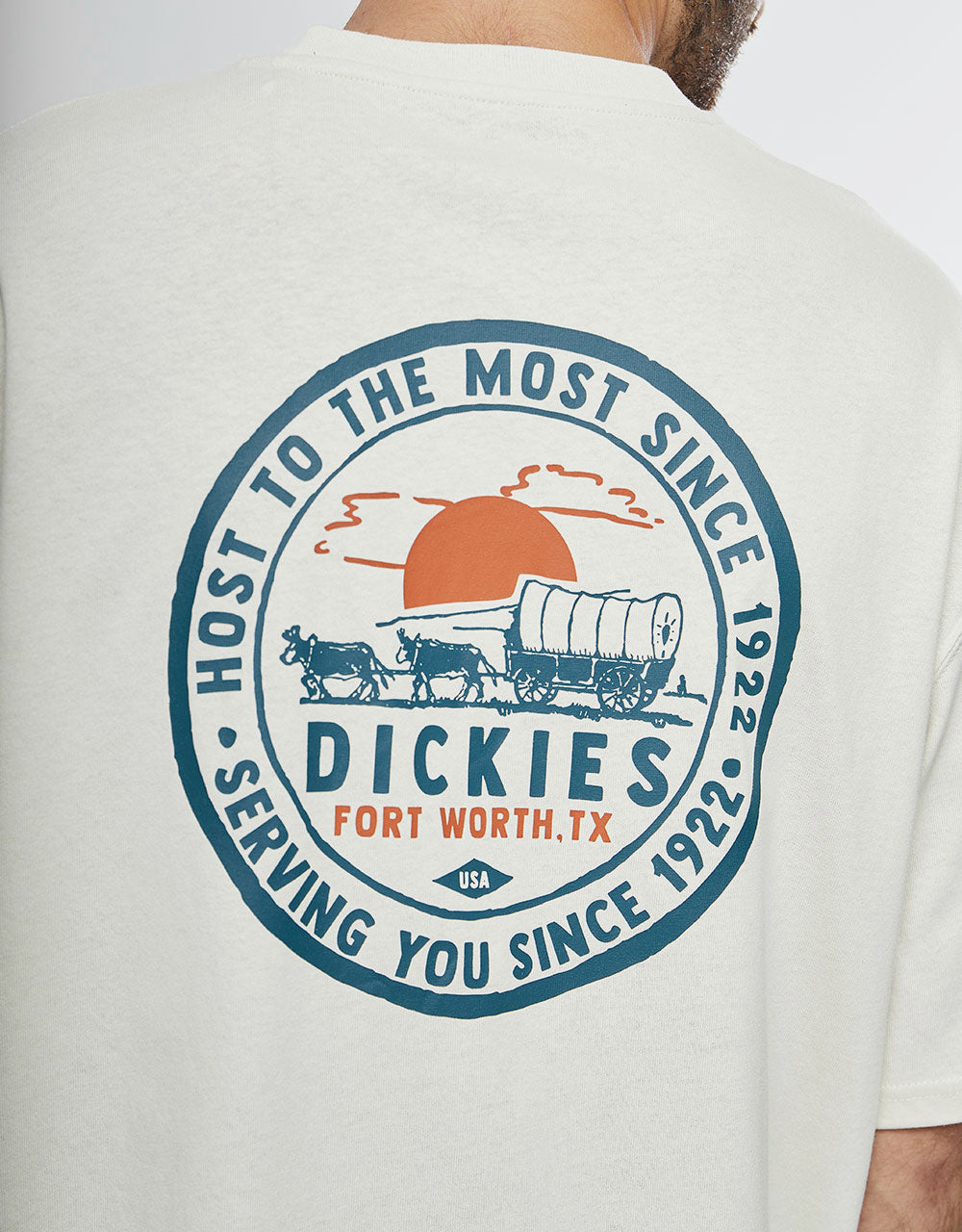 Dickies Greensburg T-Shirt - Whitecap Gray