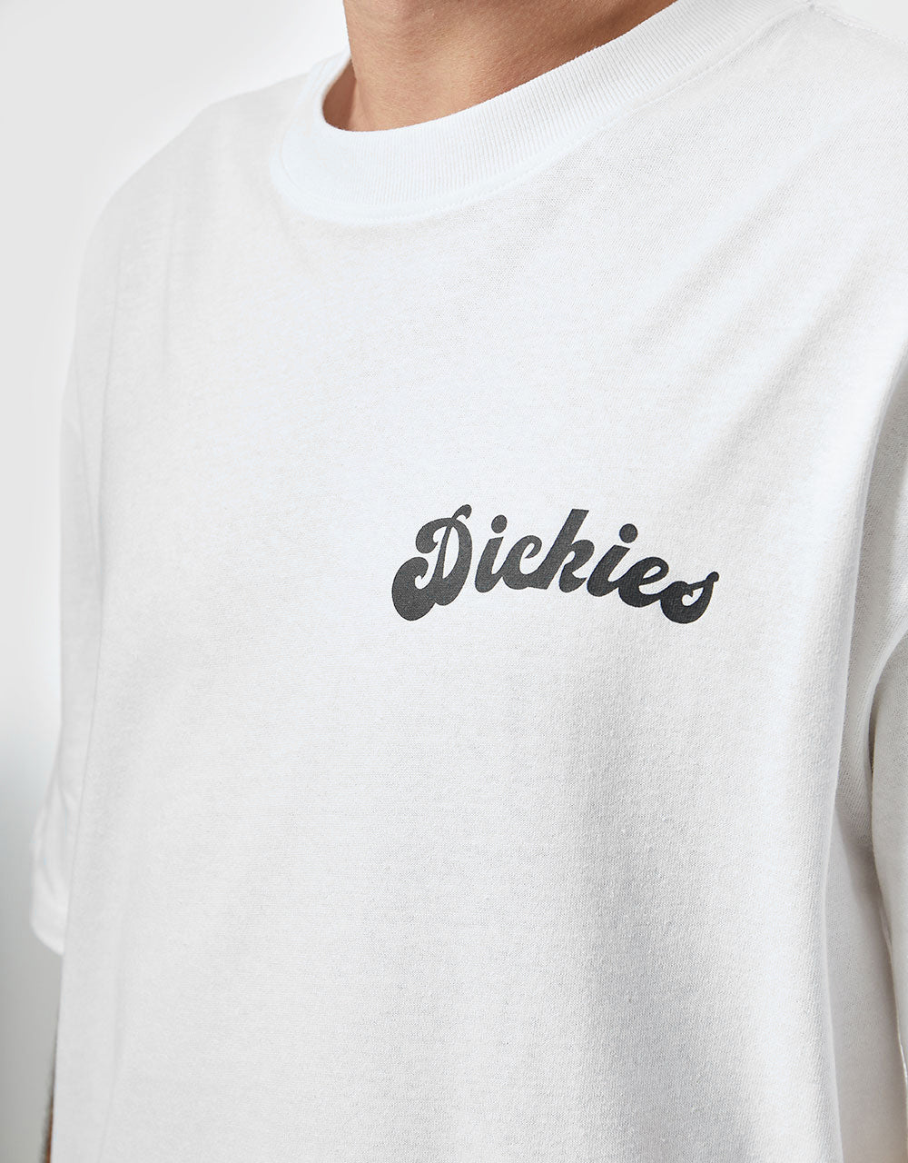 Dickies Grainfield T-Shirt - White