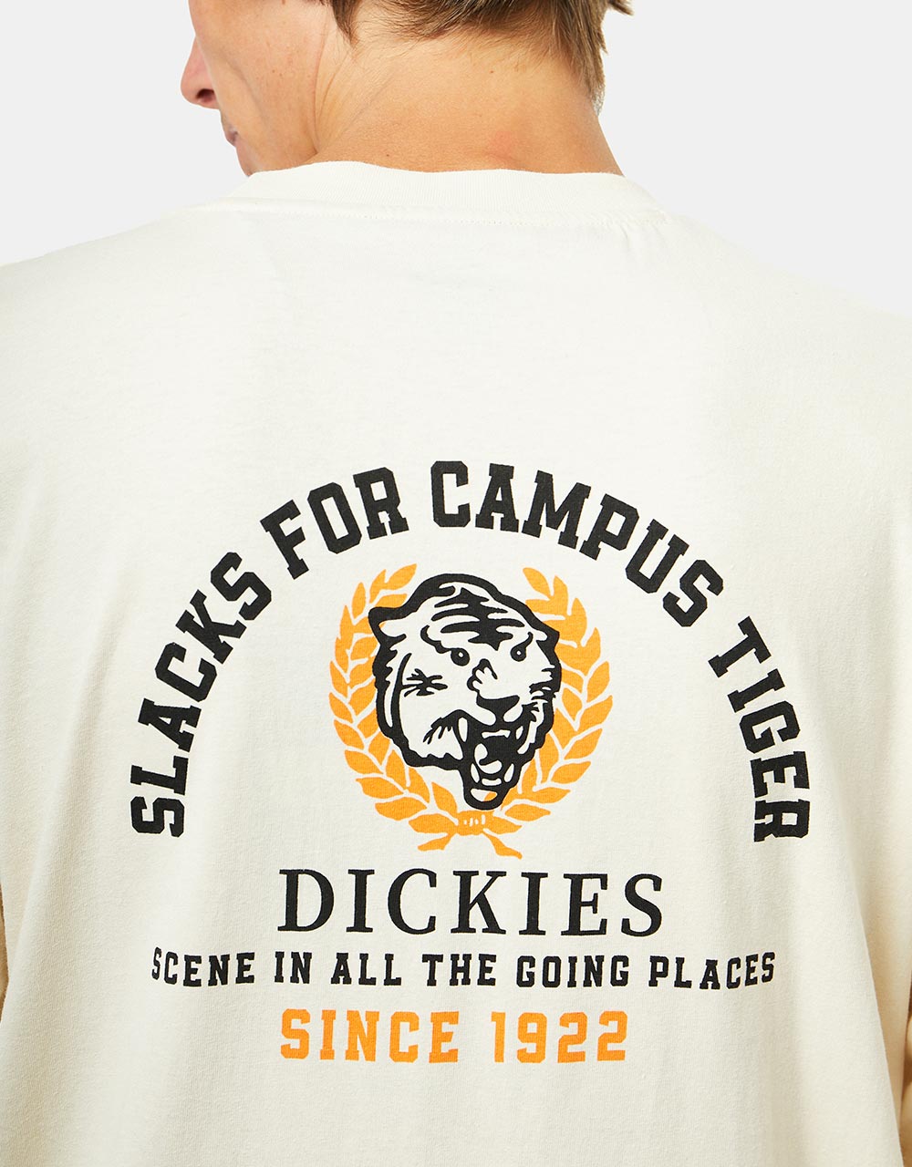 Dickies Westmoreland T-Shirt - Whitecap Gray