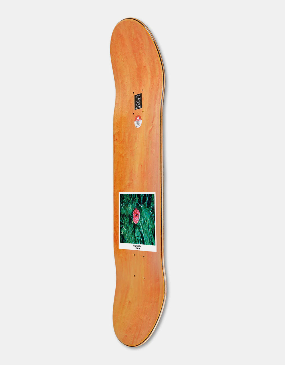 Polar Boserio Amaryllis Skateboard Deck