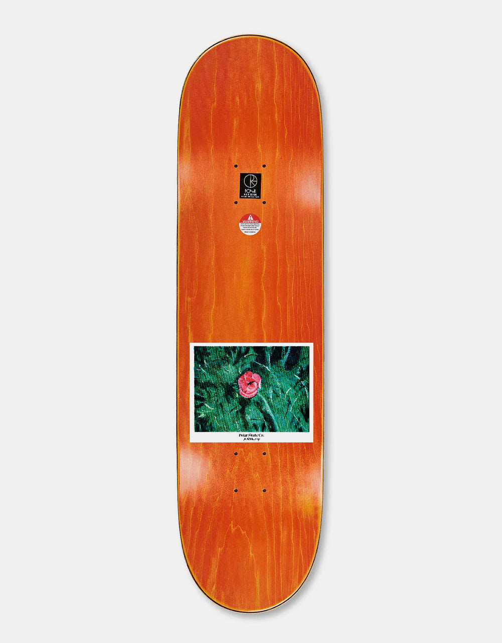 Polar Boserio Amaryllis Skateboard Deck - 8.5" (Wheel Wells)