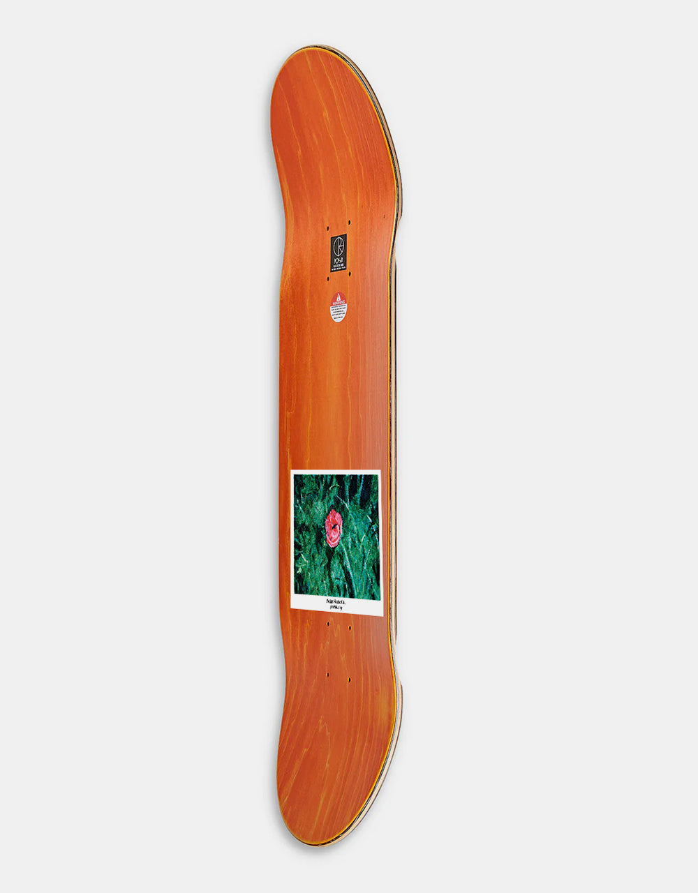 Polar Boserio Amaryllis Skateboard Deck - 8.5" (Wheel Wells)