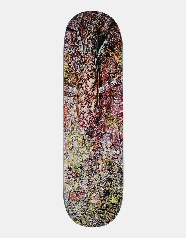Glue Cryptic Coloration Skateboard Deck - 8.625"