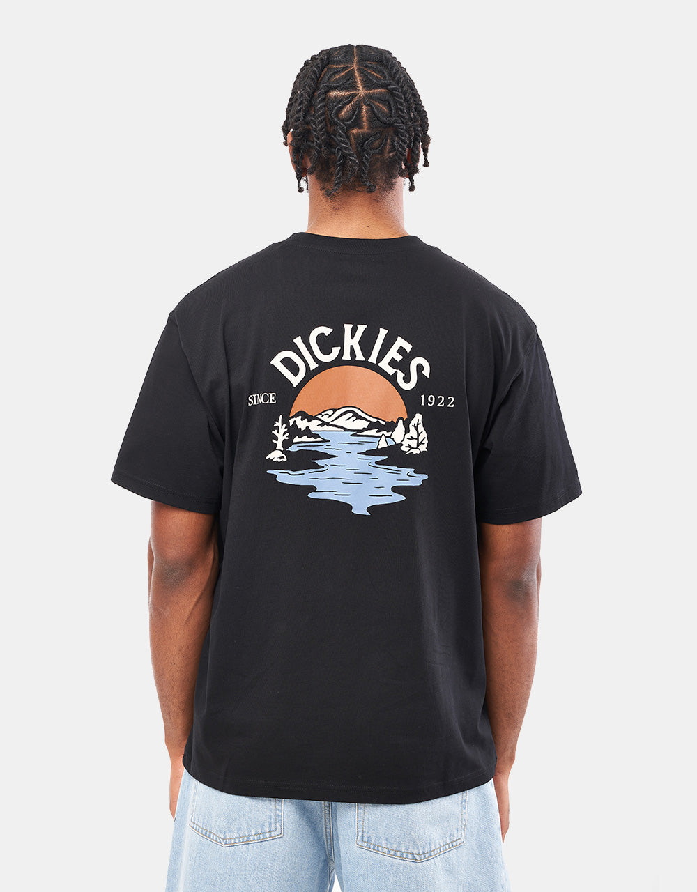 Dickies Beach T-Shirt - Black