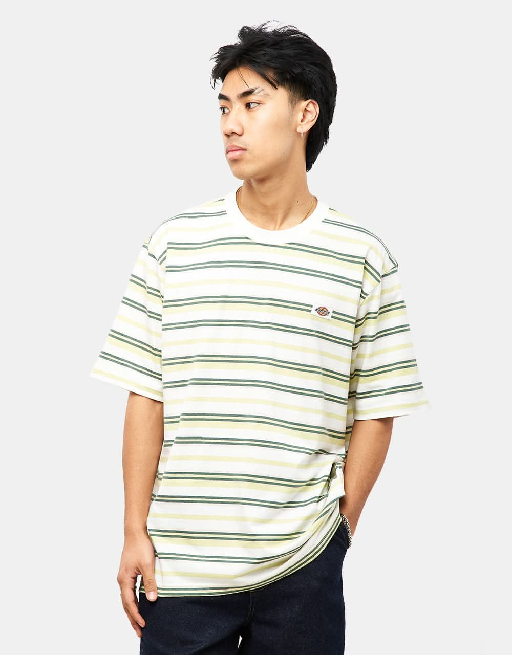 Dickies Glade Spring Striped T-Shirt - Horizontal Stripe White