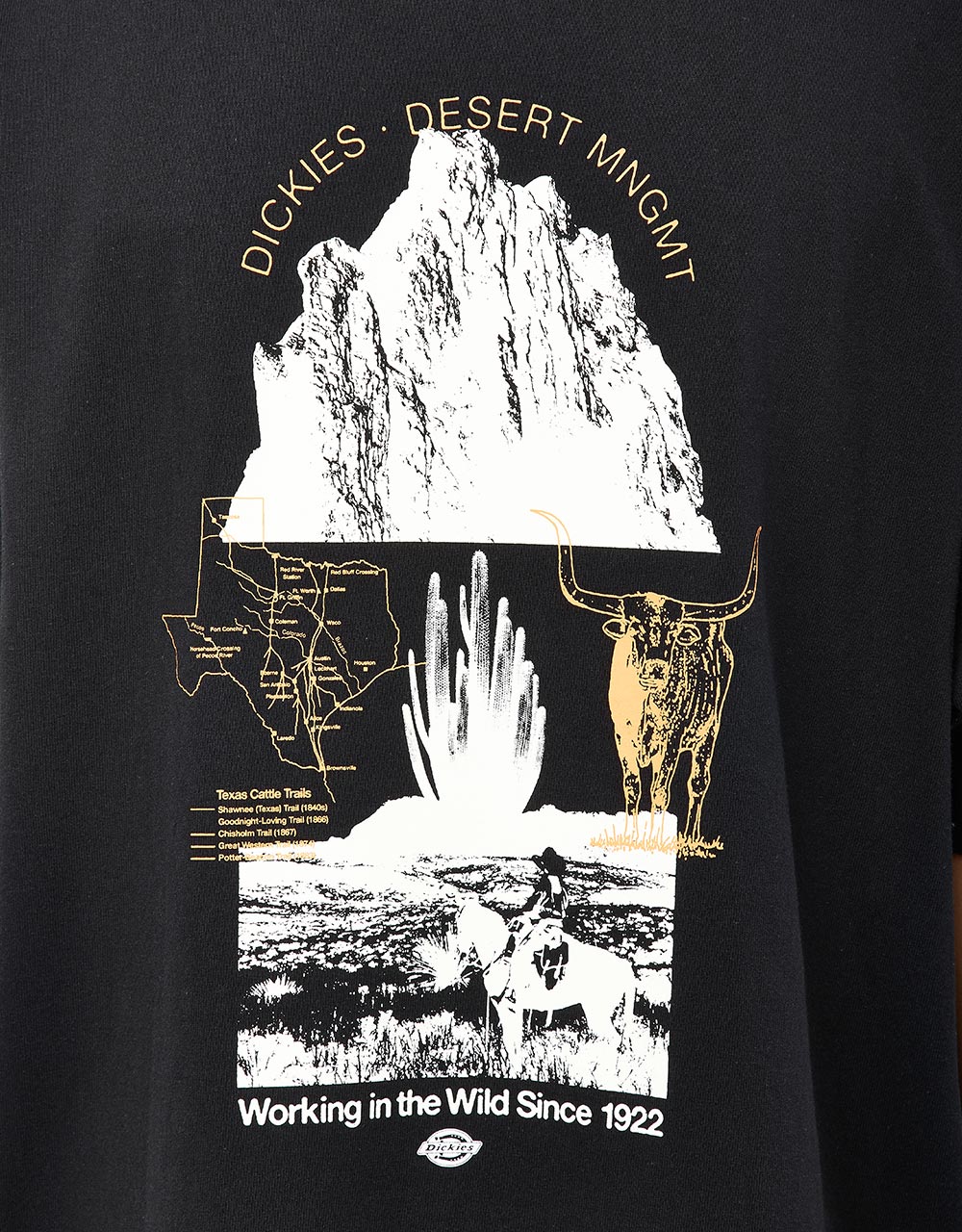 Dickies Pearisburg T-Shirt - Black