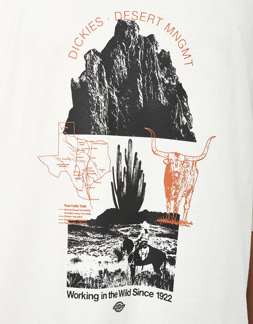 Dickies Pearisburg T-Shirt - Cloud