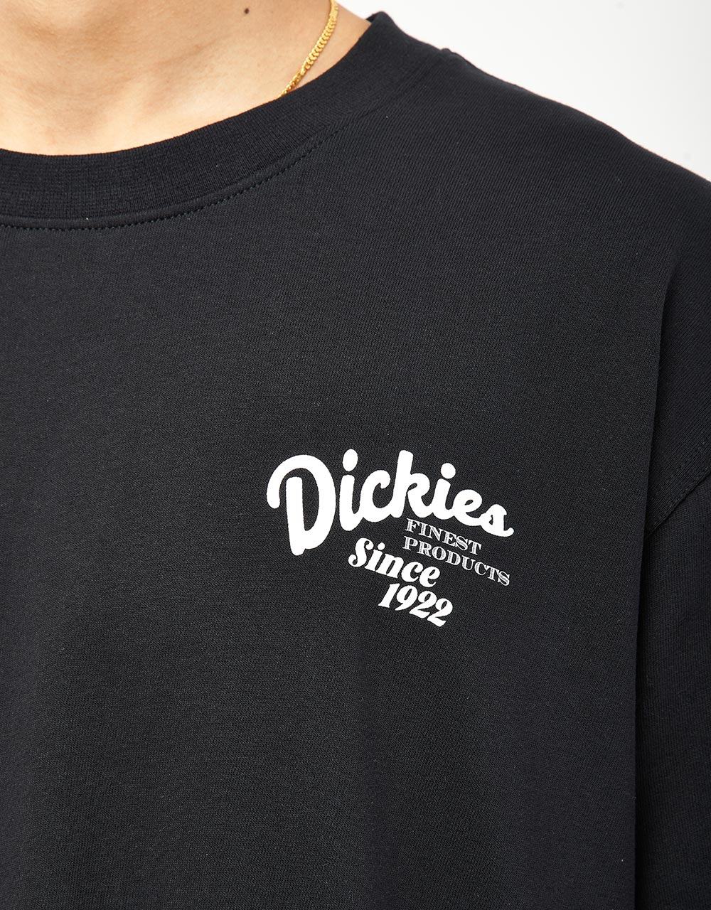 Dickies Raven T-Shirt - Black