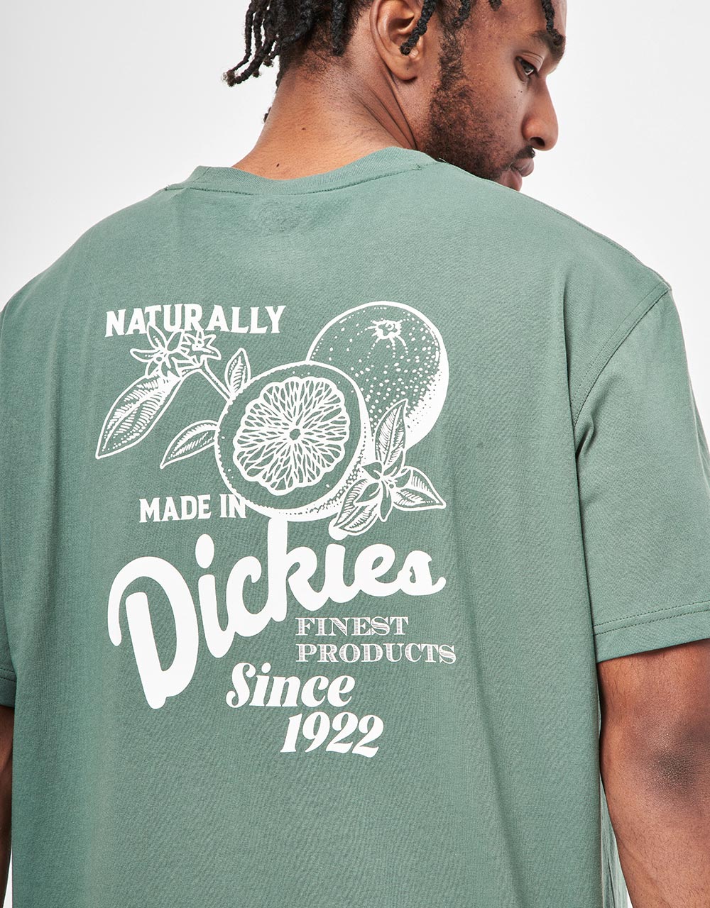 Dickies Raven T-Shirt - Dark Forest