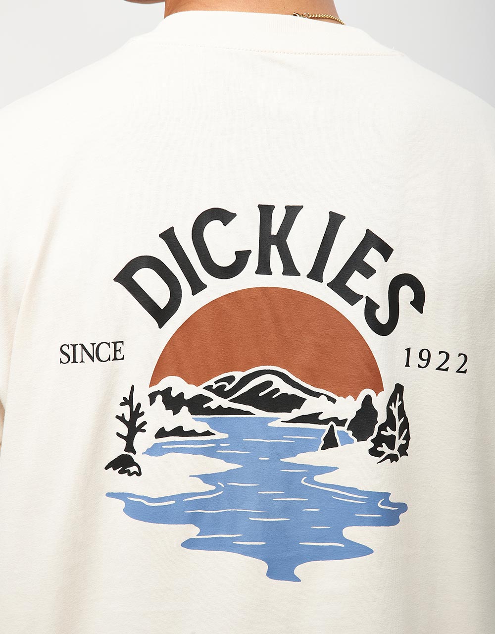 Dickies Beach T-Shirt - Whitecap Gray