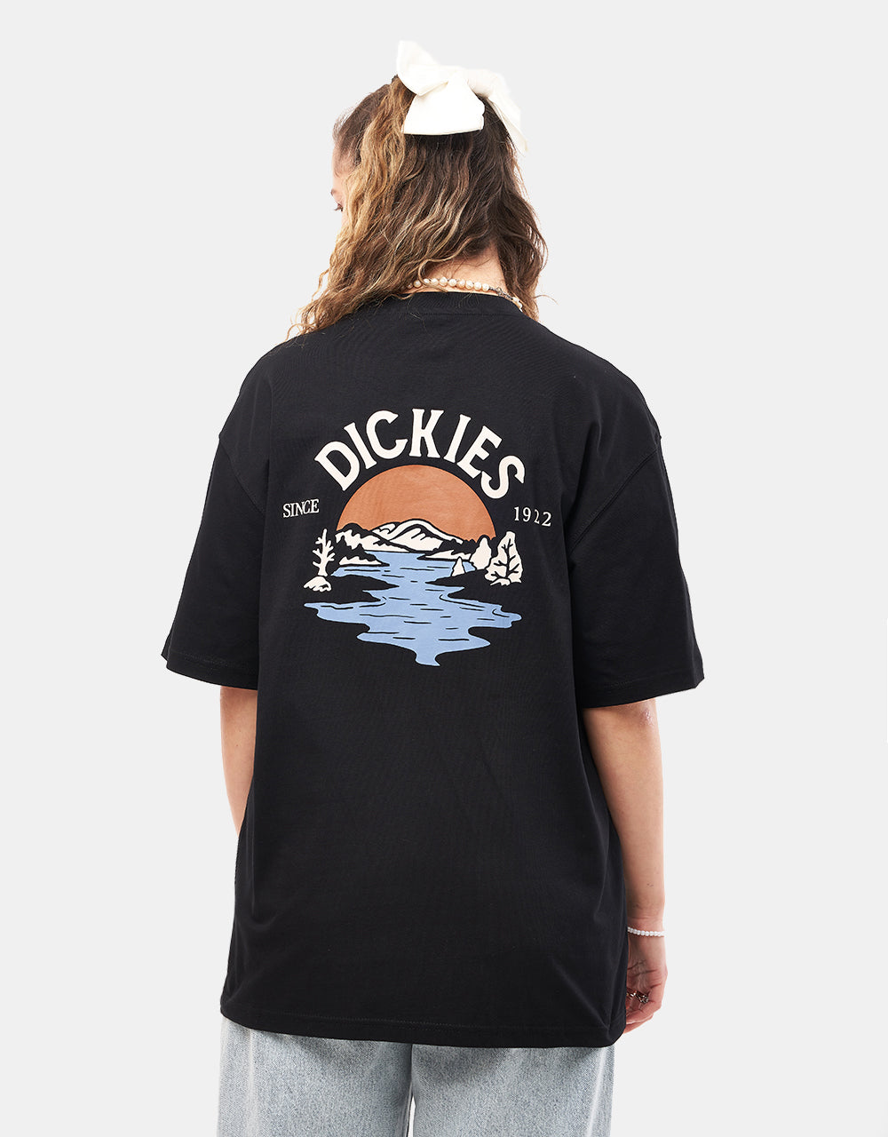 Dickies Beach T-Shirt - Black