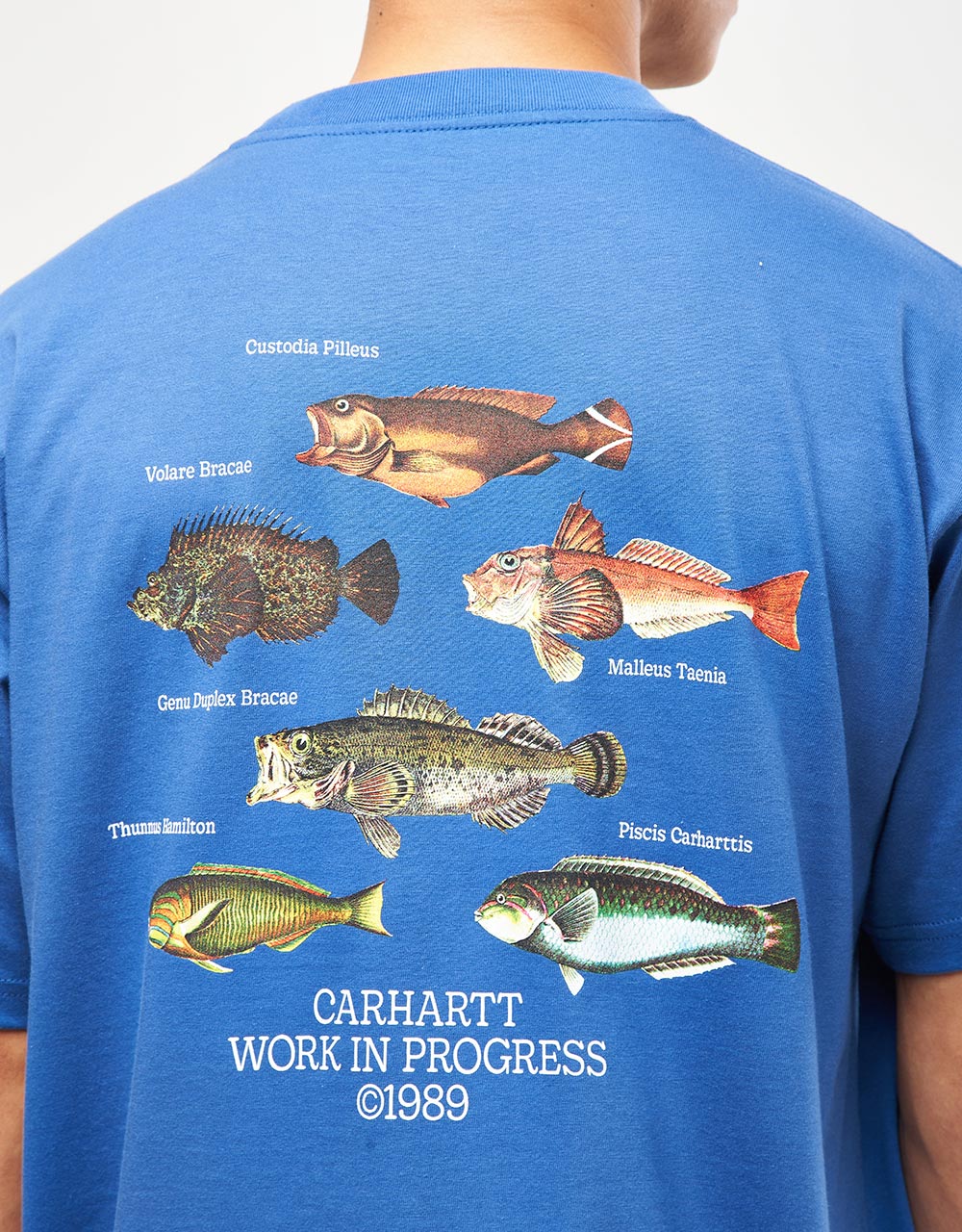 Carhartt WIP Fish T-Shirt - Acapulco – Route One