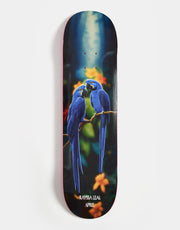 April Rayssa Blue Macaw Skateboard Deck - 8.25"