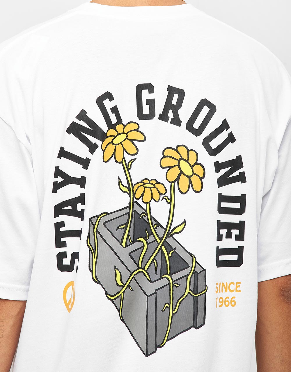 Vans Staying Grounded T-Shirt - White/Black