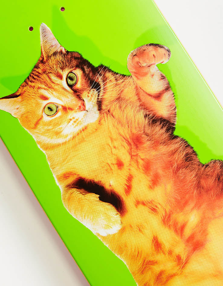 Enjoi Pilz Catnip R7 Skateboard Deck - 9.125"