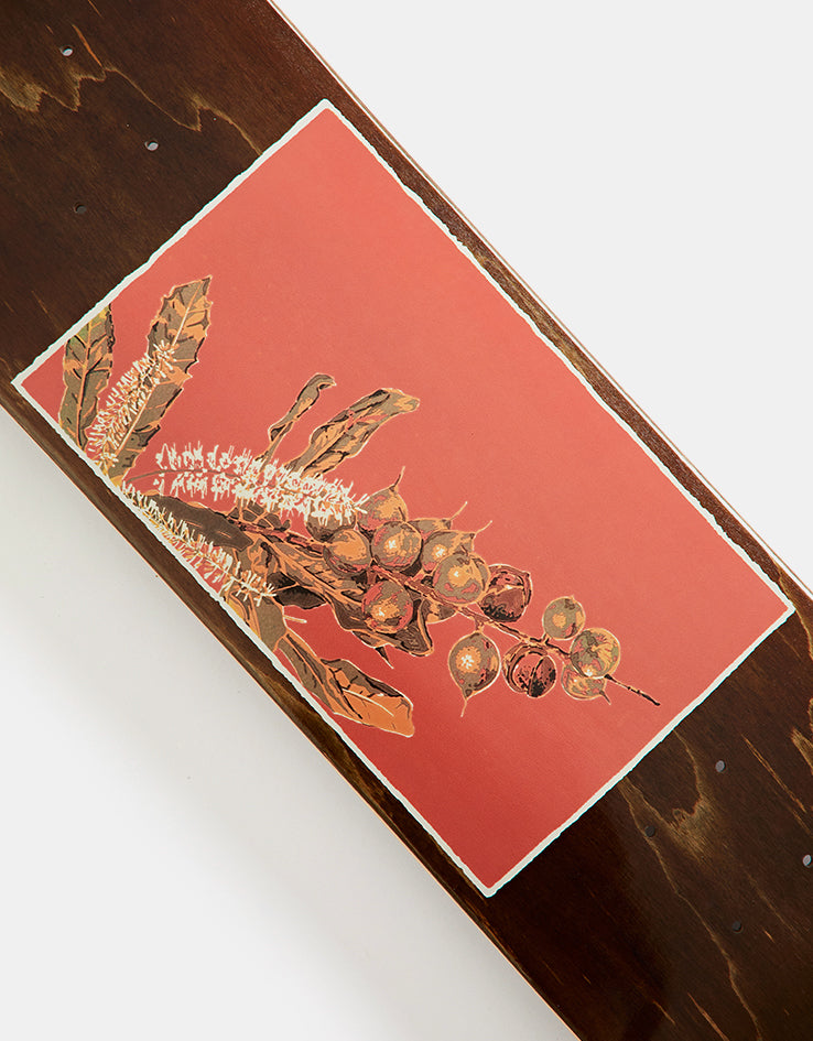Pass Port Maca Native Fruit Series Skateboard Deck - 8.125"