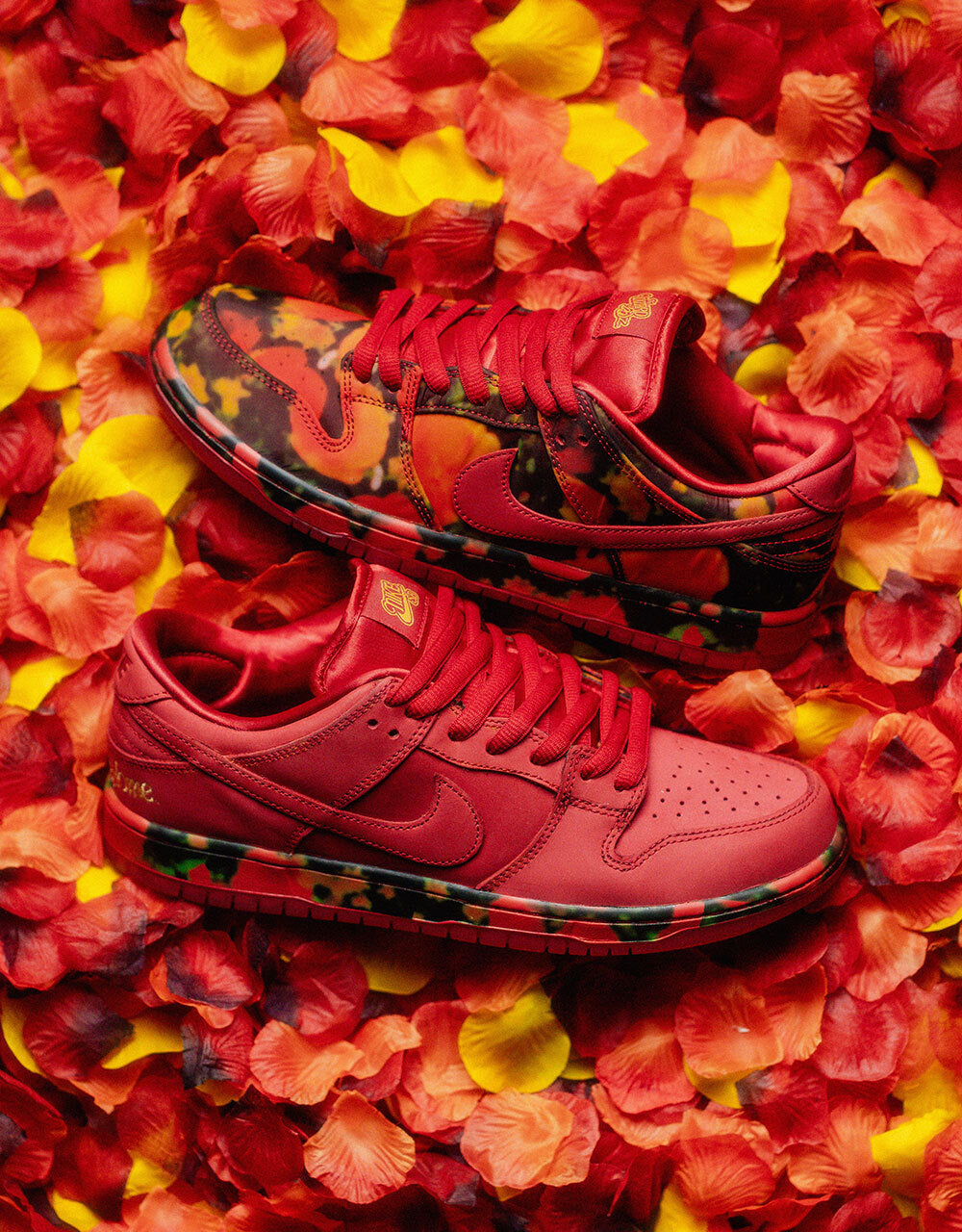 nike sb dunk wizard of oz