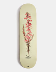 Pass Port Callum Pink Heath Reissue Skateboard Deck - 8.25"