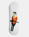 Deathwish Yuri Sabia-Laranjeira Skateboard Deck - 8.125"