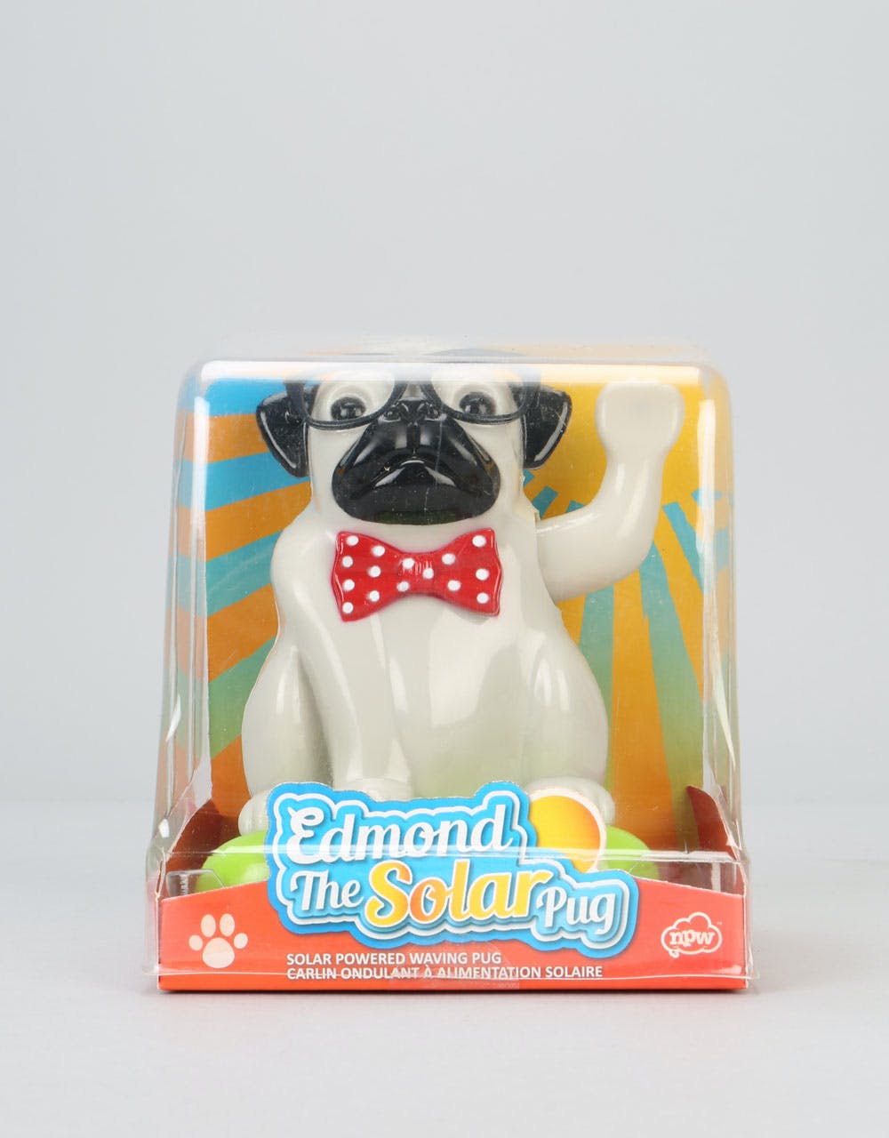 Edmond The Solar Pug