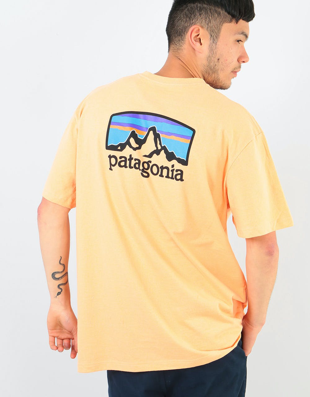 Patagonia Fitz Roy Horizons Responsibili-Tee® T-Shirt - Peach Sherbet