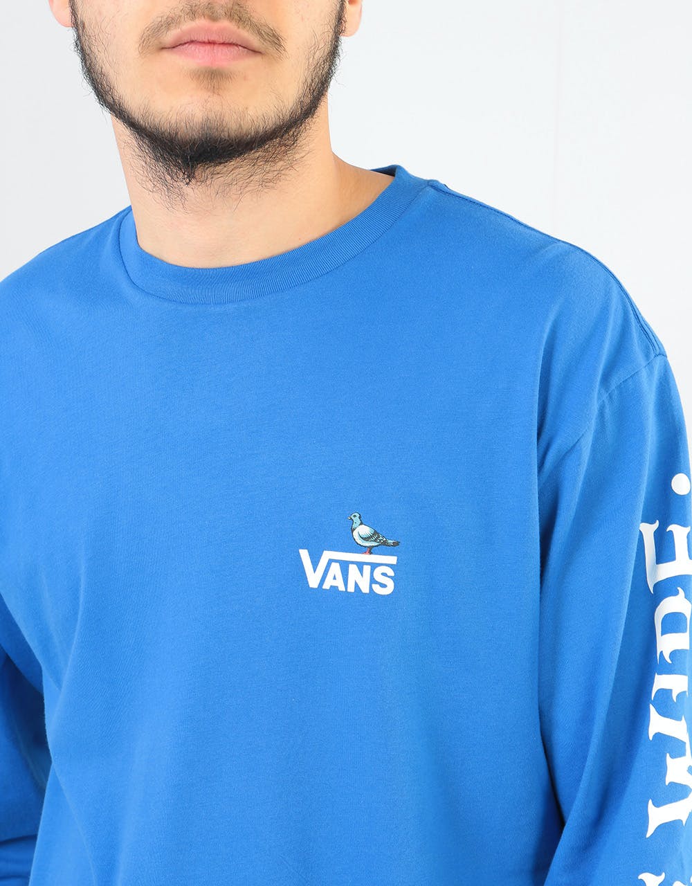 Vans x Anti Hero On the Wire L/S T-Shirt - Royal Blue
