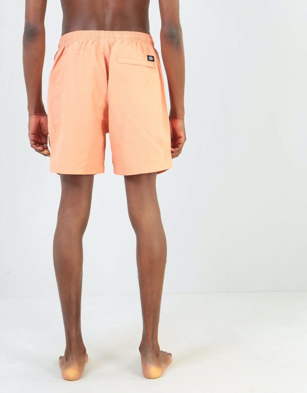 Dickies Rifton Swim Short - Flamingo