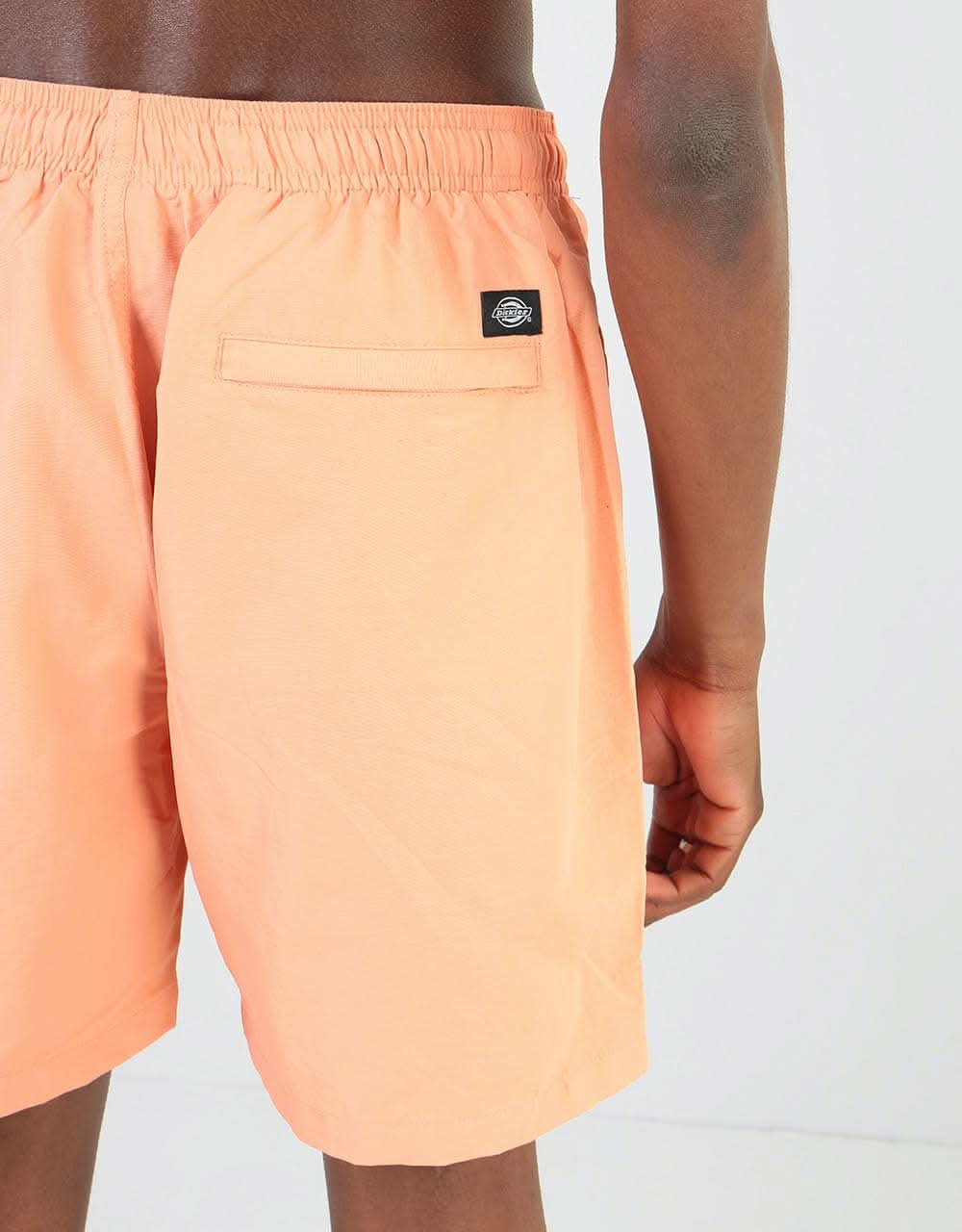 Dickies Rifton Swim Short - Flamingo