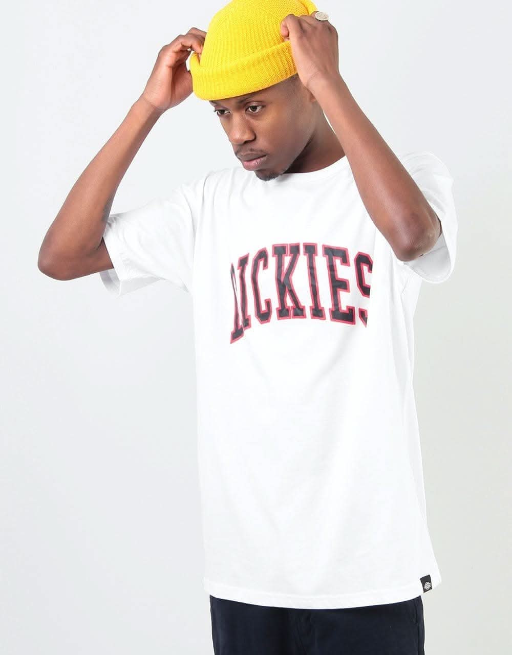 Dickies Philomont T-Shirt - White