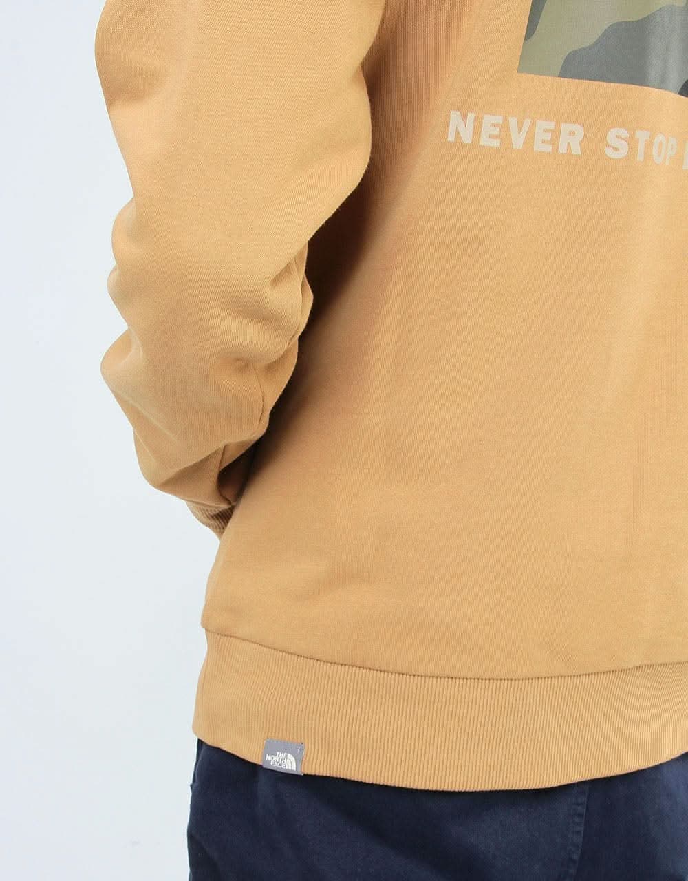 The North Face Raglan Red Box Pullover Hoodie - British Khaki