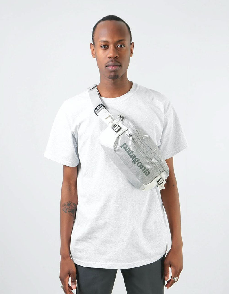 Patagonia black hole waist pack birch white Clearance