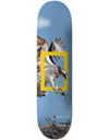 Element x National Geographic Evan Osprey Skateboard Deck - 8.25"