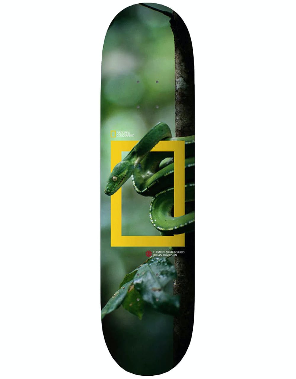 Element x National Geographic Julian Snake Skateboard Deck - 8.25"