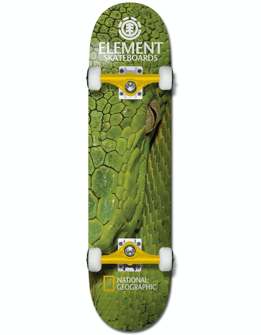 Element x National Geographic Snake Complete Skateboard - 8"