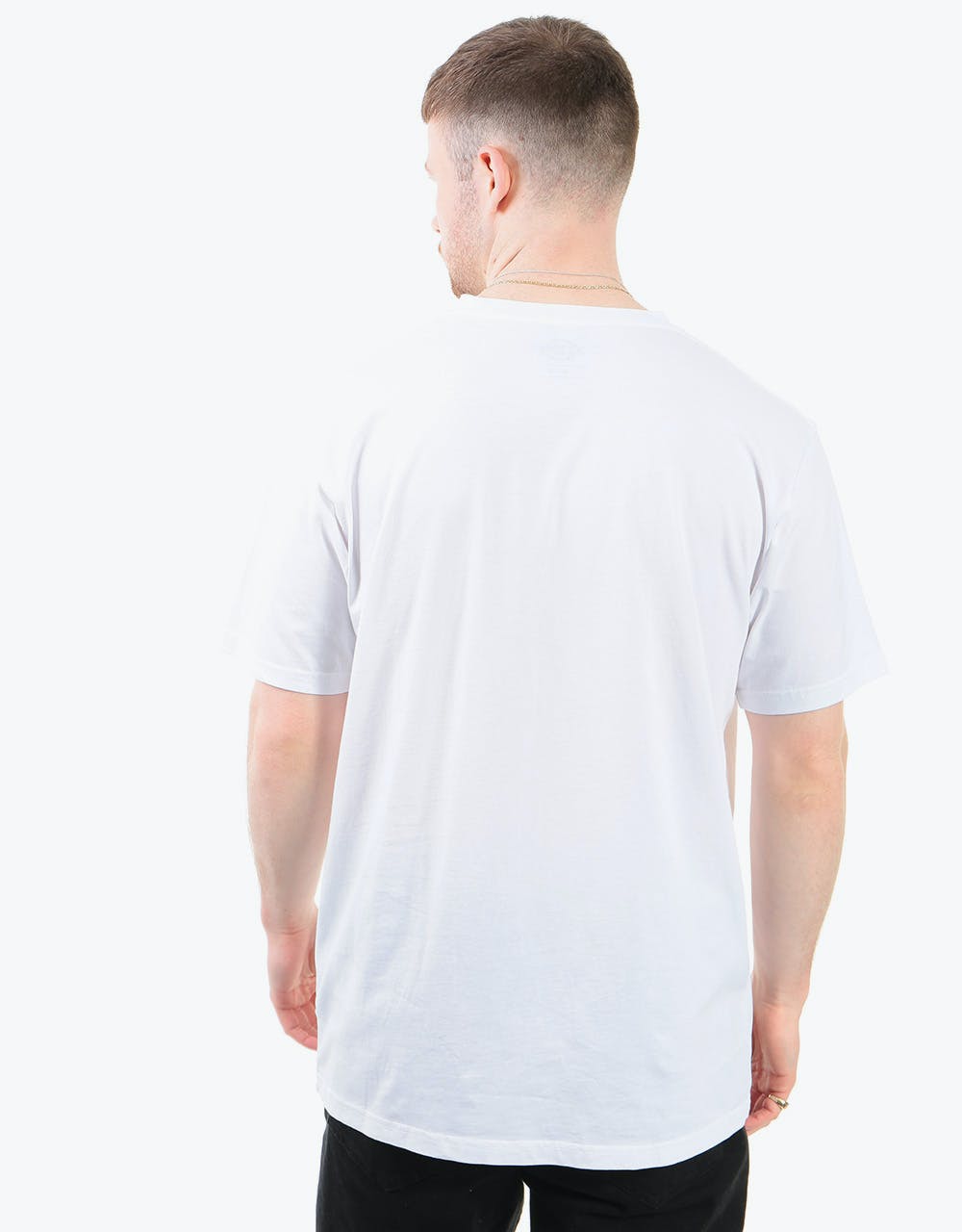 Dickies Kings Bay T-Shirt - White
